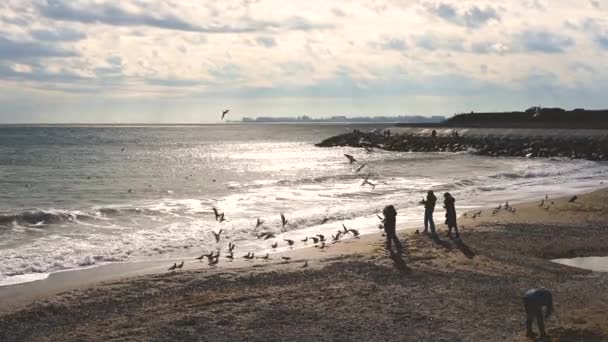 Coast Black Sea Fontanka Village Odessa Ukraine Sunny Winter Day — Stok video
