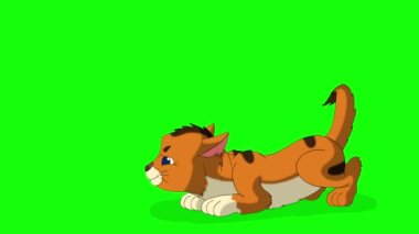 Little red tabby is angry and hissing. Handmade animated looped 4K footage isolated on green screen