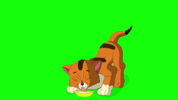 小さな赤いタビー子猫は食べた後に自分自身を洗います 緑の画面に隔離された手作りのアニメーション4K映像 — ストック動画