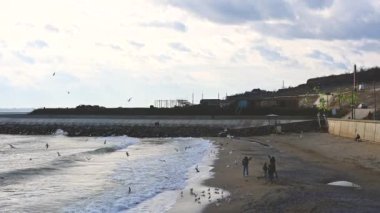 People feed seagulls on the seashore on a cloudy winter day