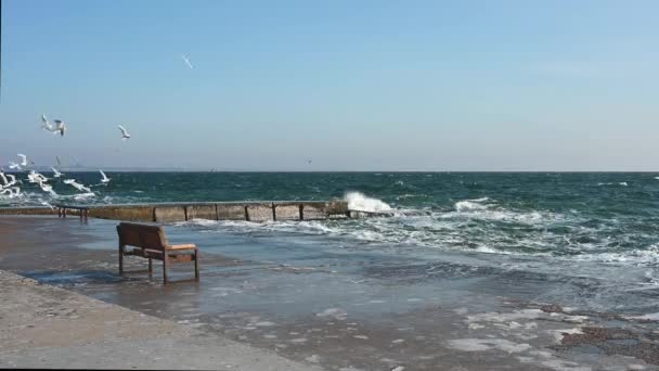 Costa Del Mar Nero Vicino Odessa Ucraina Una Giornata Invernale — Video Stock