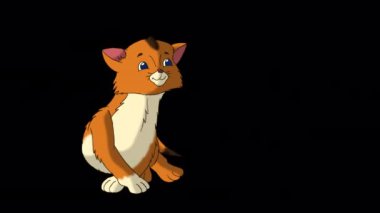 Küçük kırmızı tekir kedicik sarılıyor. Alfa kanalında el yapımı 4K görüntüler izole edildi