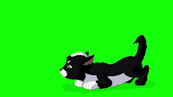 リトル ブラックは怒ってる 緑の画面に隔離された手作りのアニメーションループHd映像 — ストック動画