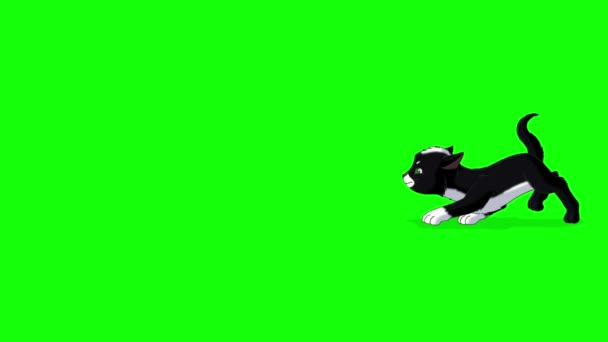 Gatinho Negro Esgueirar Artesanal Animado Looped Imagens Isoladas Tela Verde — Vídeo de Stock