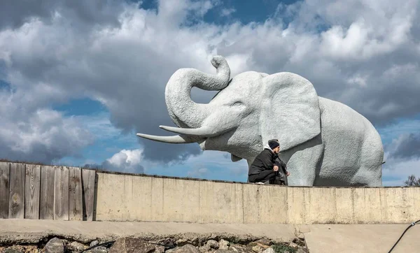 Odessa Ukraine 2023 Statue Huge Elephant Embankment Black Sea Coast — Stock Photo, Image