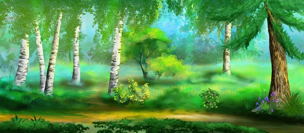Brzozy Lesie Słoneczny Letni Dzień Cyfrowe Tło Malarstwa Ilustracja — Zdjęcie stockowe