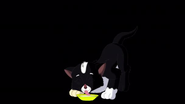 Mały Czarny Kociak Myje Się Jedzeniu Ręcznie Robione Animowane Filmy — Wideo stockowe