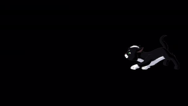 Gatito Negro Escondidas Imágenes Alta Definición Bucle Animadas Hechas Mano — Vídeo de stock