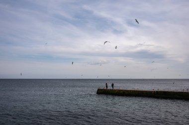 Odessa, Ukrayna 19.02.2023. İnsanlar Ukrayna 'nın Odessa kentindeki Lanzheron plajında bulutlu bir kış günü deniz kenarında yürür.
