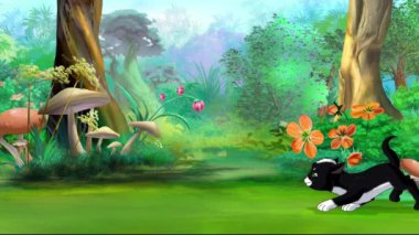 Kara kedi, güneşli bir günde bahçede bir kelebekle oynar. El yapımı döngü HD görüntüler