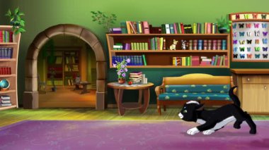 Siyah kedi yavrusu odada dolaşıyor. El yapımı döngü HD görüntüler 