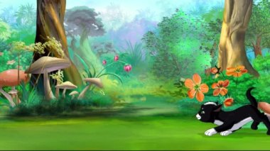 Kara kedi, güneşli bir günde bahçede bir kelebekle oynar. El yapımı animasyon döngüsü 4K görüntü