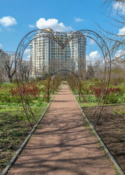 乌克兰敖德萨2023年4月10日 在一个阳光明媚的春天 乌克兰敖德萨植物园里的小巷 — 图库照片
