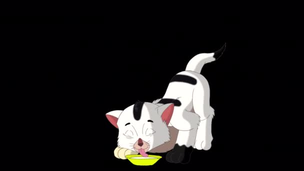 Mały Biały Kotek Myje Się Jedzeniu Ręcznie Robione Animowane Filmy — Wideo stockowe