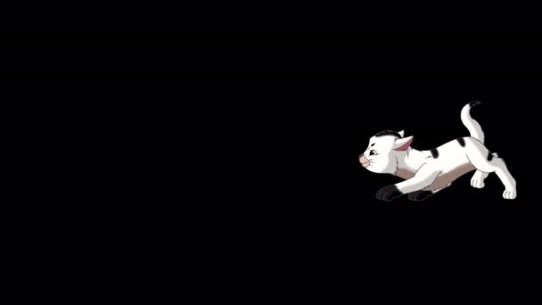 Chaton Blanc Qui Faufile Vidéo Boucle Animée Main Isolée Sur — Video