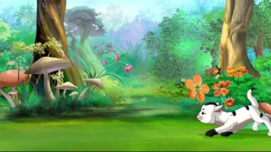 Beyaz kedi yavrusu güneşli bir günde bahçede bir kelebekle oynar. El yapımı döngü HD görüntüler