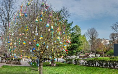 Odessa, Ukrayna 15.04.2023. Şehir meydanında Paskalya ağacı, Ukrayna 'nın tarihi merkezi, güneşli bir bahar gününde.
