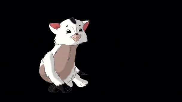 Küçük Beyaz Kedi Yavrusu Sarılıyor Alfa Kanalında Yapımı Görüntüler Izole — Stok video