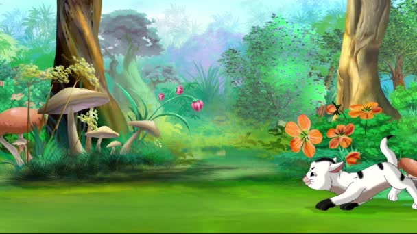 Білий Кошеня Грає Метеликом Саду Сонячний День Анімовані Кадри Ручної — стокове відео