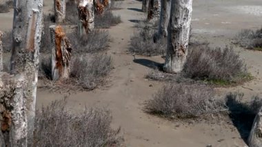 Ukrayna 'nın Odessa kentindeki Kuyalnik tuz gölünün sığ kıyısı, güneşli bir bahar gününde HD