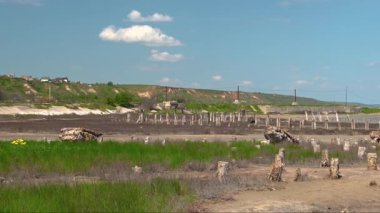 Ukrayna 'nın Odessa kentindeki kurumuş Kuyalnik gölünün kıyısında güneşli bir bahar günü HD