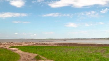 Ukrayna 'nın Odessa kentindeki kurumuş Kuyalnik gölünün kıyısında güneşli bir bahar günü HD