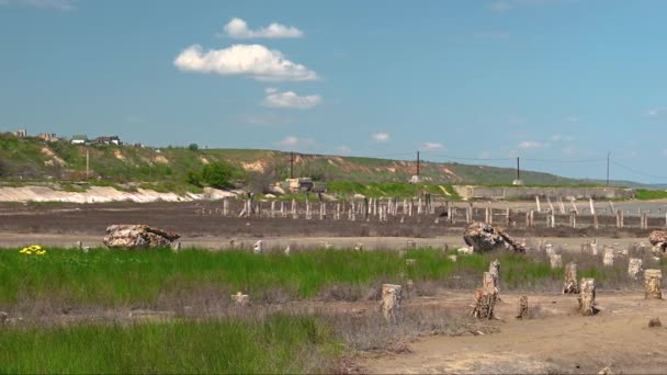 Ακτή Της Αποξηραμένης Λίμνης Kuyalnik Στην Οδησσό Της Ουκρανίας Μια — Αρχείο Βίντεο
