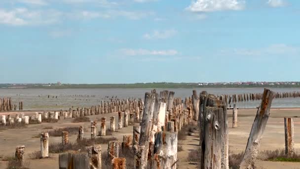 Costa Rasa Lago Sal Kuyalnik Odessa Ucrânia Dia Primavera Ensolarado — Vídeo de Stock