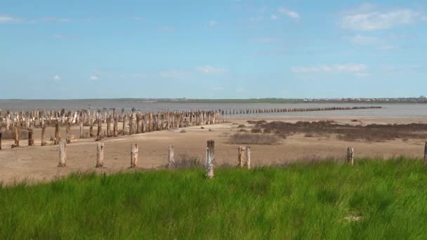 Ufer Des Ausgetrockneten Kujalnik Sees Odessa Ukraine Einem Sonnigen Frühlingstag — Stockvideo