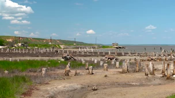 Costa Lago Secado Kuyalnik Odessa Ucrânia Dia Primavera Ensolarado — Vídeo de Stock