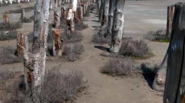 Ukrayna 'nın Odessa kentindeki Kuyalnik tuz gölünün sığ kıyısı, güneşli bir bahar günü 4K