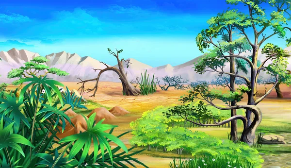 Пейзаж Африканской Саванны Растениями Оазисе Посреди Пустыни Солнечный День Цифровая — стоковое фото
