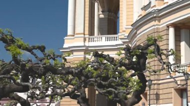 Odessa, Ukrayna 02.05.2023. Ukrayna 'da güneşli bir bahar sabahı Odessa Devlet Akademik Opera ve Bale Tiyatrosu