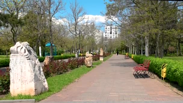 Chernomorsk Ucrânia 2023 Embankment Parque Chernomorsk Região Odessa Ucrânia Dia — Vídeo de Stock