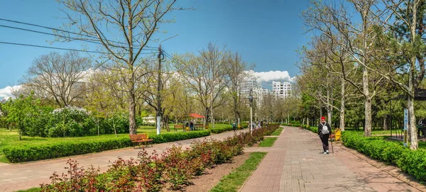 乌克兰切尔诺默斯克2023年5月14日 在阳光灿烂的春天 乌克兰敖德萨地区切尔诺默斯克海滨或普里莫尔斯基公园 — 图库照片