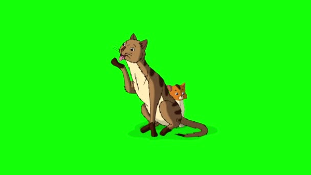 Red Tabby Cat Jej Kociak Ręcznie Robione Animowane Filmy Izolowane — Wideo stockowe
