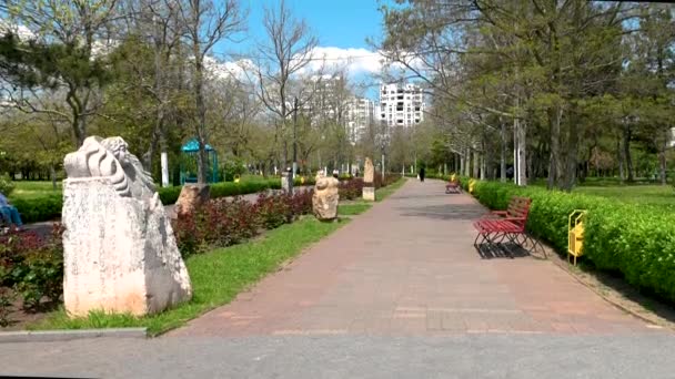 Chernomorsk Oekraïne 2023 Dijk Park Chernomorsk Odessa Regio Van Oekraïne — Stockvideo