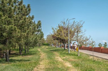 Çernomorsk, Ukrayna 14.05.2023. Ukrayna 'nın Odessa bölgesindeki Chernomorsk' taki deniz kenarı veya Primorsky parkı, güneşli bir bahar günü