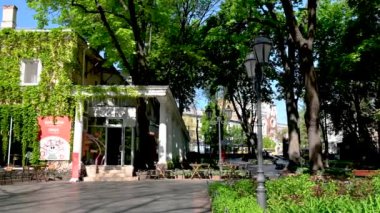 Odessa, Ukrayna 11.05.2023. Güneşli bir bahar gününde Ukrayna 'nın Odessa kentindeki şehir parkı.