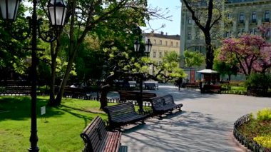 Odessa, Ukrayna 11.05.2023. Güneşli bir bahar gününde Ukrayna 'nın Odessa kentindeki şehir parkı.