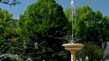 Odessa, Ukrayna 11.05.2023. Güneşli bir bahar gününde Ukrayna 'nın Odessa şehrinin tarihi merkezindeki şehir parkındaki çeşme.