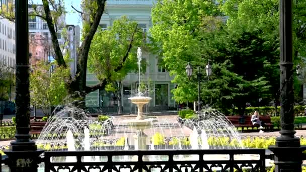 Odessa Ukraina 2023 Fontänen Stadsparken Den Historiska Stadskärnan Odessa Ukraina — Stockvideo