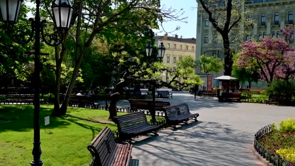 Odessa Oekraïne 2023 Stadspark Het Historische Centrum Van Odessa Oekraïne — Stockvideo