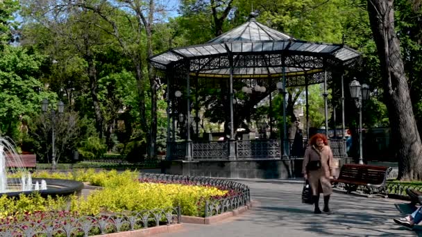 乌克兰敖德萨2023年5月11日 在一个阳光明媚的春日 在乌克兰历史中心敖德萨的城市公园饮酒 — 图库视频影像
