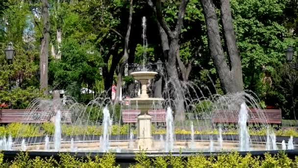 ウクライナ オデッサ 2023年5月5日 ウクライナのオデッサの歴史的中心部にある市内公園の噴水 晴れた春の日 — ストック動画