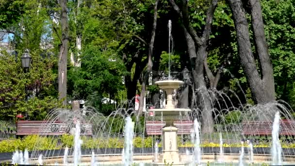 ウクライナ オデッサ 2023年5月5日 ウクライナのオデッサの歴史的中心部にある市内公園の噴水 晴れた春の日 — ストック動画