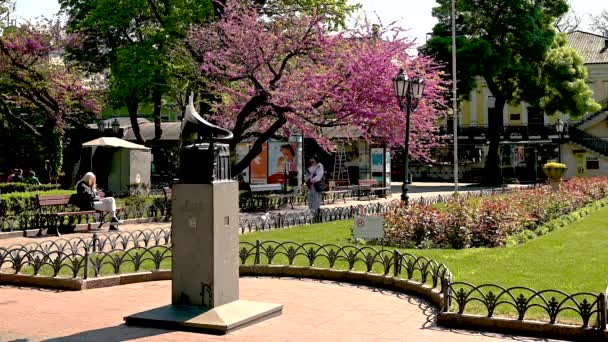 ウクライナ オデッサ 2023年5月5日 ウクライナのオデッサの歴史的中心部にある市公園のオデッサの声への記念碑 晴れた春の日 — ストック動画
