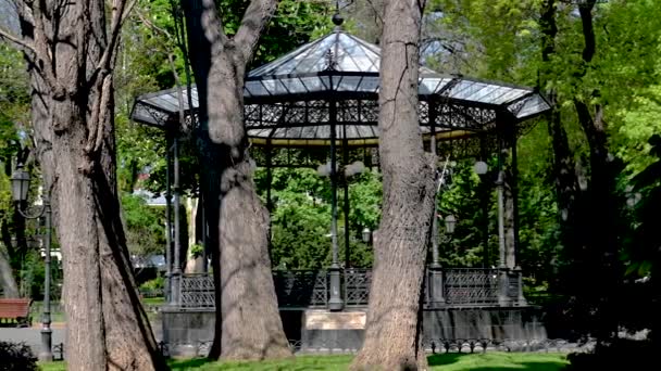ウクライナ オデッサ 2023年5月5日 ウクライナのオデッサの歴史的中心部にある市内公園のアルコーブ 晴れた春の日 — ストック動画