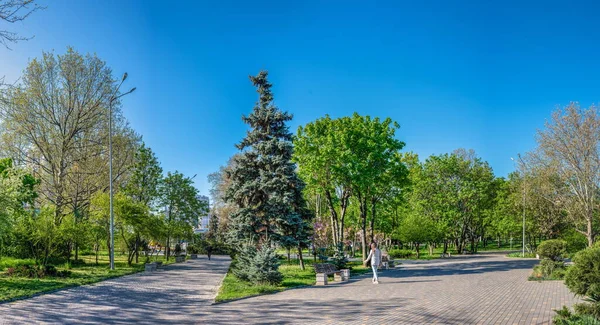 乌克兰敖德萨05 2023 在一个阳光明媚的春日 乌克兰敖德萨胜利公园里的小巷和凉亭 — 图库照片