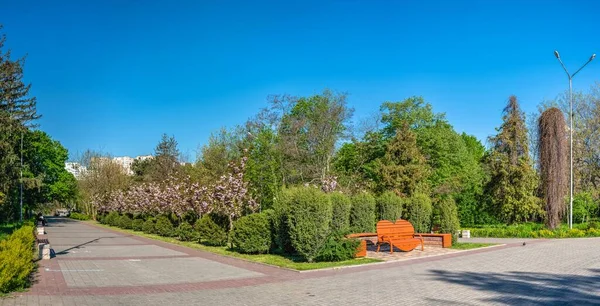Odessa Ukraina 2023 Aleje Parku Zwycięstwa Odessie Ukraina Słoneczny Wiosenny — Zdjęcie stockowe